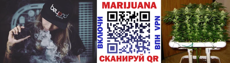 Купить закладки  Починок  Бошки марихуана тримм 